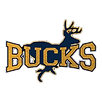 Buckhorn High School Football